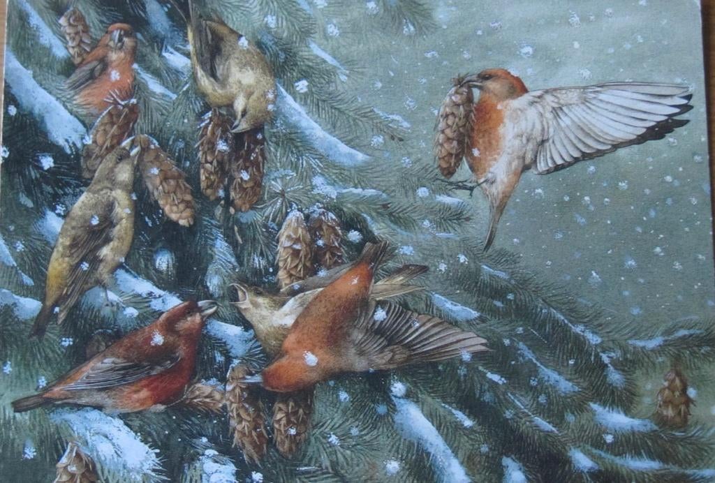 voor het kind - Marjolein Bastin - natuur - kruisbekken, Verzenden, 1980 tot heden, Ongelopen, Overige thema's