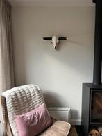 Bison/buffel skull wanddecoratie, Huis en Inrichting, Ophalen of Verzenden, Zo goed als nieuw