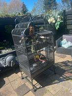 Papegaai kooi deluxe vogelkooi groot als nieuw ! Vogel kooi, Dieren en Toebehoren, Ophalen of Verzenden, Zo goed als nieuw, Metaal