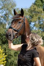 Instructrice Paard/pony regio Utrecht, Diensten en Vakmensen, Dieren | Paarden | Verzorging, Oppas en Les, Ruiter of Bijrijder