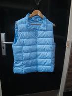 Lichtblauwe bodywarmer maat L (z.g.a.n.), Kleding | Dames, Bodywarmers, Ophalen of Verzenden, Zo goed als nieuw, Maat 42/44 (L)