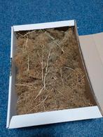 Zeeschuim voor modelbouw., Overige merken, Gelijkstroom of Wisselstroom, Brug, Tunnel of Gebouw, Nieuw