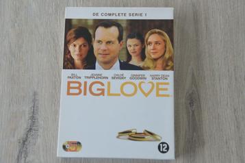 BIG LOVE - DE COMPLETE SERIE 1 - 5DVDbox  beschikbaar voor biedingen