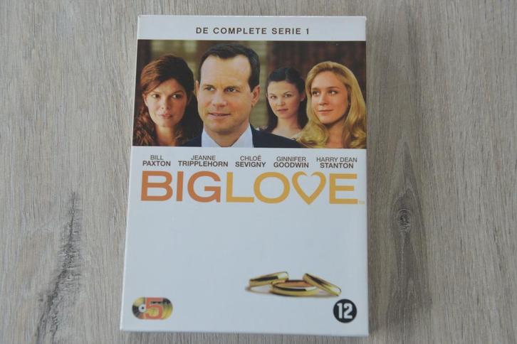 BIG LOVE - DE COMPLETE SERIE 1 - 5DVDbox, Cd's en Dvd's, Dvd's | Tv en Series, Zo goed als nieuw, Actie en Avontuur, Boxset, Vanaf 12 jaar