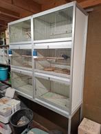 Broedkooien van trespa met broed blokken., Dieren en Toebehoren, Ophalen of Verzenden, Zo goed als nieuw, Kunststof, Broedkooi of Kweekkooi