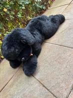 Grote Zwarte Knuffelhond - Realistisch, Kinderen en Baby's, Speelgoed | Knuffels en Pluche, Ophalen, Zo goed als nieuw, Hond
