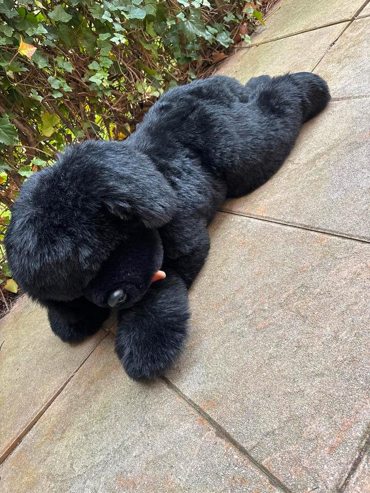 Grote Zwarte Knuffelhond - Realistisch, Kinderen en Baby's, Speelgoed | Knuffels en Pluche, Zo goed als nieuw, Hond, Ophalen