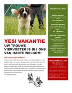 Hondenpension: Alle rassen welkom!, Diensten en Vakmensen, Dieren | Honden | Verzorging, Oppas en Les