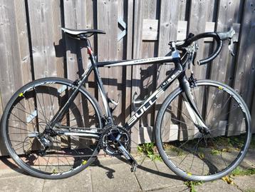 Bulls desert falcon size 56 beschikbaar voor biedingen