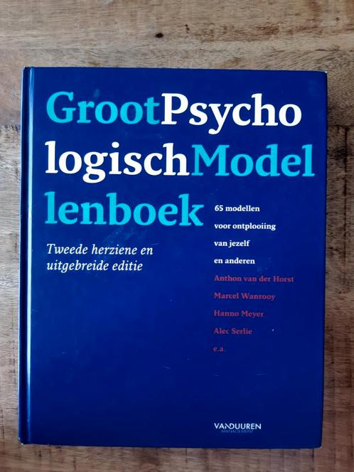 Marcel Wanrooy - Groot psychologisch modellenboek, Boeken, Wetenschap, Zo goed als nieuw, Verzenden