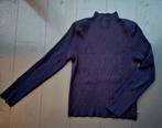 Fabienne Chapot Trui Maat M, Kleding | Dames, Truien en Vesten, Maat 38/40 (M), Blauw, Ophalen of Verzenden, Zo goed als nieuw