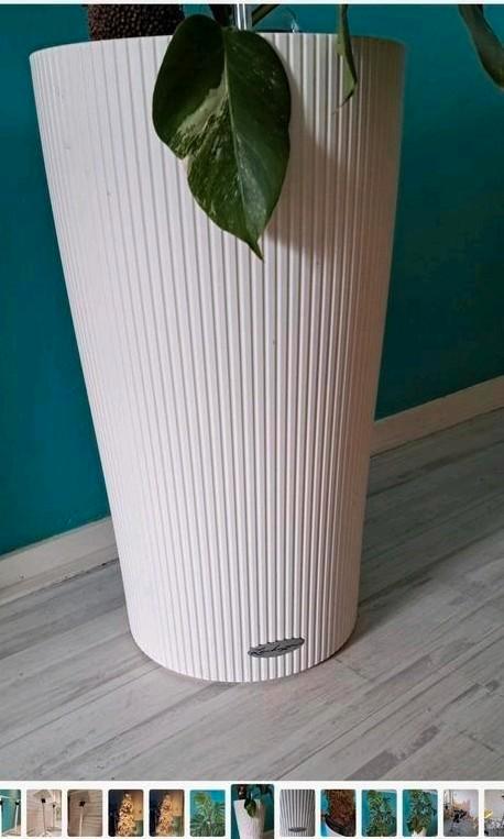 Mooie grote bloempot met een monstera variegata.., Huis en Inrichting, Kamerplanten, Ophalen