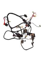 Kabelboom ecu spanningsregelaar origineel La Souris Sourini, Gebruikt, Ophalen of Verzenden