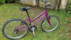 Meisjesfiets ATB, Fietsen en Brommers, Fietsen | Meisjes, Ophalen, Gebruikt, 24 inch