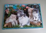 Legpuzzel kittens 1000 stukjes, Ophalen, 500 t/m 1500 stukjes, Zo goed als nieuw, Legpuzzel