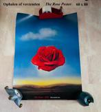 Poster 60 x 80 The Rose van Salvador Dali De Roos - 2001, Ophalen, Gebruikt, Foto of Poster, 75 cm of meer