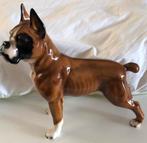 Boxer hond beeldje, Verzamelen, Beelden en Beeldjes, Ophalen of Verzenden, Zo goed als nieuw, Dier