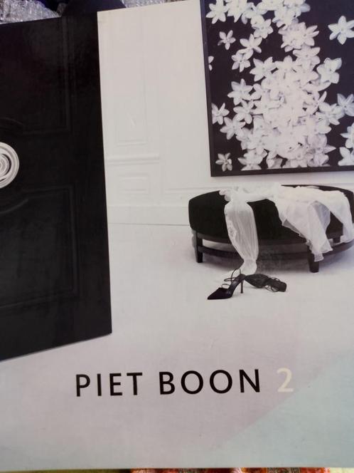 Boek Piet boon 2, Boeken, Kunst en Cultuur | Fotografie en Design, Fotografen, Ophalen of Verzenden