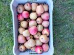 Appels Goudreinetten en Stoofperen onbespoten, Ophalen