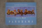 Anne Geddes - Panorama 1000 st. Nummer 57913, Ophalen, 500 t/m 1500 stukjes, Gebruikt, Legpuzzel