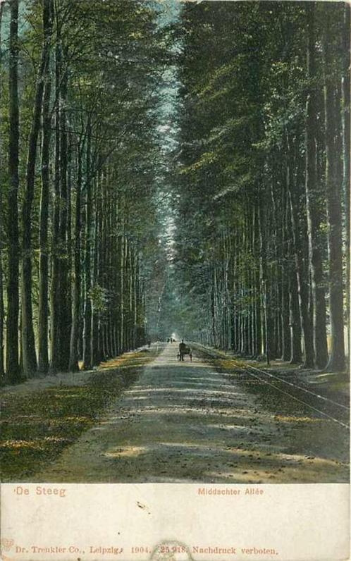 (377-440-007) De Steeg Middachter Allee, Verzamelen, Ansichtkaarten | Nederland, Gelderland, Verzenden