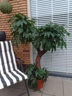 Prachtige kunstplant/boom H150 cm, Ophalen of Verzenden, Zo goed als nieuw, Binnen