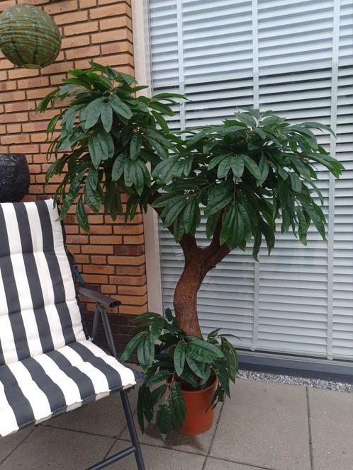 Prachtige kunstplant/boom H150 cm, Huis en Inrichting, Woonaccessoires | Kunstplanten en Kunstbloemen, Zo goed als nieuw, Binnen