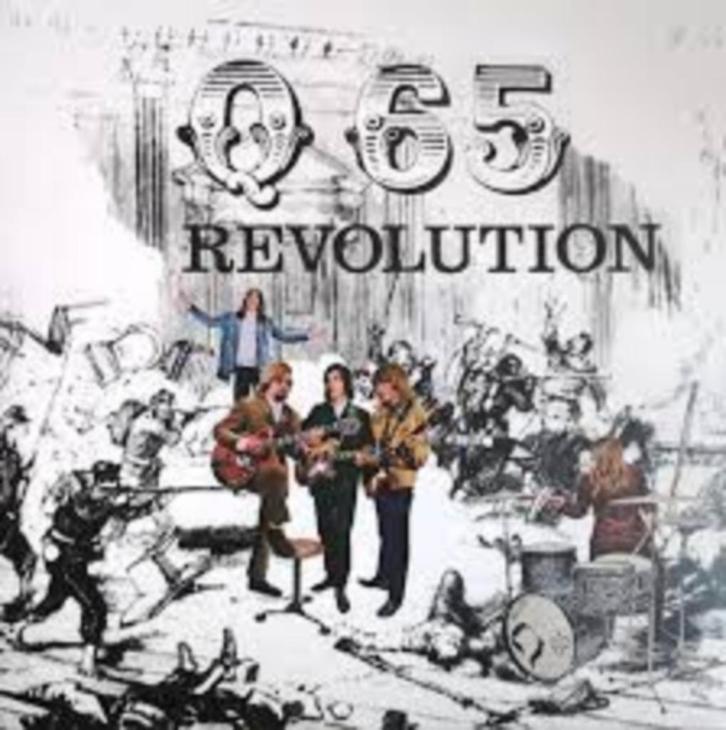 Q65 - Revolution + bonustracks - NEDERBEAT, Cd's en Dvd's, Cd's | Rock, Zo goed als nieuw, Alternative, Ophalen of Verzenden
