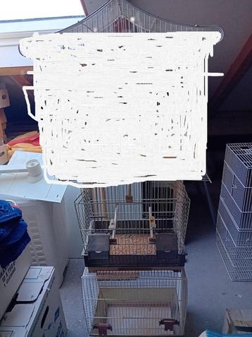 vogelkooi beschikbaar voor biedingen