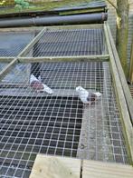 Sierduiven, Dieren en Toebehoren, Vogels | Duiven, Meerdere dieren, Tortelduif
