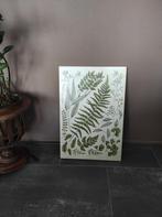 Botanische illustratie op hout, Ophalen of Verzenden