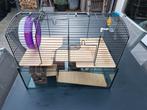 Hamsterkooi, muizenkooi, Dieren en Toebehoren, Kooi, Gebruikt, Minder dan 75 cm, Ophalen