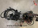 KABELBOOM BMW "5 E39 M57 525D 530D  DIESEL MOTOR, Gebruikt, -, -, Ophalen of Verzenden