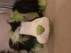 Dinomask premade, Hobby en Vrije tijd, Kostuums, Theaterbenodigdheden en LARP, Ophalen of Verzenden, Zo goed als nieuw, Accessoires