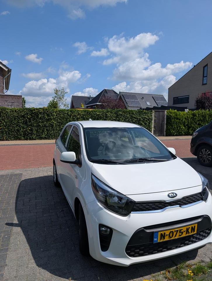 Kia Picanto 1.0 DynamicLine (2021) I Wit, Auto's, Kia, Particulier, Picanto, Benzine, B, Hatchback, Handgeschakeld, Origineel Nederlands