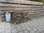 Takken en Boomstronken te koop, Tuin en Terras, Haardhout, Minder dan 3 m³, Ophalen of Verzenden, Overige houtsoorten, Takken