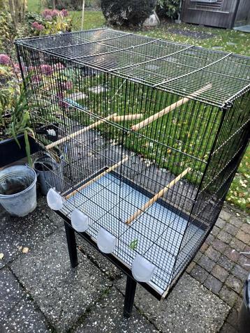 Grote vogelkooi  beschikbaar voor biedingen