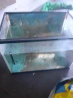 2 aquariums, Ophalen, Gebruikt, Leeg aquarium