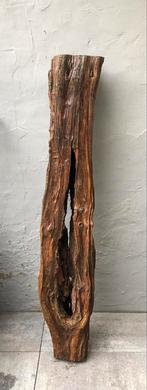 Oude boomstam / om lamp van te maken., 100 tot 150 cm, Zo goed als nieuw, Hout, Ophalen