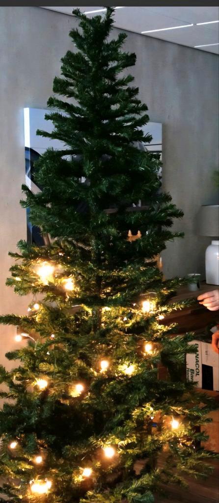 Kerstboom +/- 2,30 hoog in doos mét standaard, Diversen, Kerst, Gebruikt, Ophalen