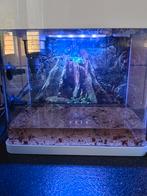 Aquarium 40 liter met alles erbij teab, Ophalen, Gebruikt, Verlichting of Verwarming