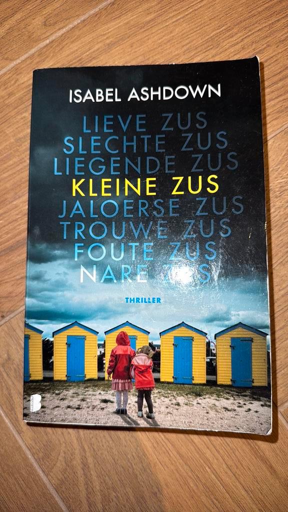 Kleine Zus - Isabel Ashdown, Boeken, Romans, Gelezen, Ophalen of Verzenden