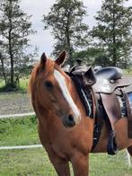 Alleen voor 24/7 plek te koop western paard merrie bomproof, Dieren en Toebehoren, Paarden, Merrie, Met stamboom, Minder dan 160 cm