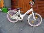 Alpina Girlpower 18 inch, Fietsen en Brommers, Ophalen, Gebruikt, 18 inch, Alpina Girlpower