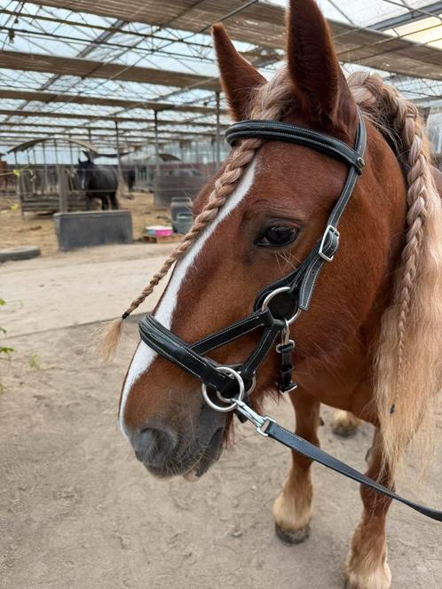 leer zadeltje 17inch, bitloos hoofdstel FRA en zadel 13,5, Dieren en Toebehoren, Paarden en Pony's | Zadels, Zo goed als nieuw