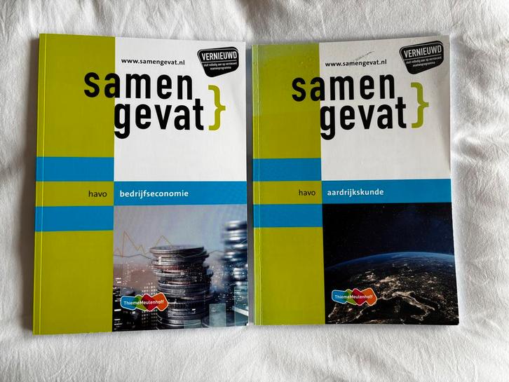 Samengevat HAVO Aardrijkskunde & Bedrijfseconomie, Boeken, Schoolboeken, Zo goed als nieuw, Aardrijkskunde, HAVO, Ophalen of Verzenden