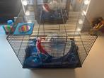 Hamsterkooi, Dieren en Toebehoren, Knaagdieren en Konijnen | Hokken en Kooien, Kooi, Gebruikt, Minder dan 75 cm, Muis