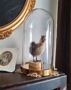 Taxidermie Eendje in Glazen Stolp/Opgezette Kuiken Eend, Ophalen of Verzenden, Nieuw, Vogel, Opgezet dier