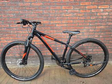 Bulls wildtail 2 29inch 41cm zeer mooi! beschikbaar voor biedingen