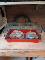 Hamster kooi, Dieren en Toebehoren, Minder dan 60 cm, Kooi, Ophalen of Verzenden, Hamster